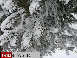 تداوم کاهش دمای هوای استان تا روز یکشنبه