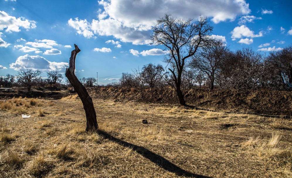 تیشه بی مهری به ریشه باغستان های قزوین + فیلم