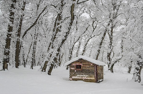 بارش برف و باران در گیلان