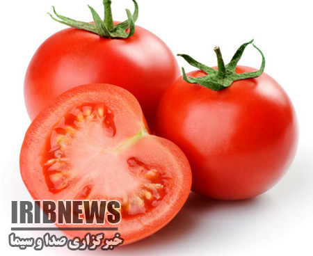 تاثیر عصاره کامل گوجه فرنگی در مقابله با سرطان معده