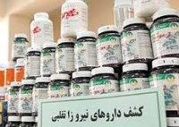 از دستگیری ۲ عامل مرتبط با حوادث تروریستی تهران تا نجات خلبان پاراگلایدر