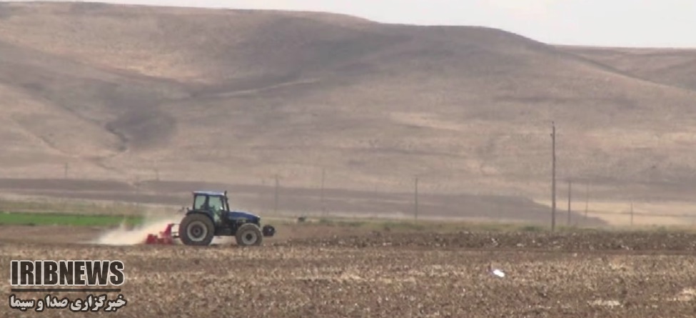 آغاز کشت پاییزه گندم در دهگلان