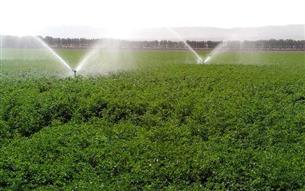 افتتاح طرح 40 هکتاری سیستم آبیاری تحت فشار موقوفات و کشاورزی چناران