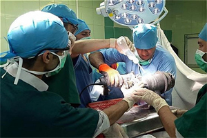 گیر کردن دست پسر بچه اصفهانی در چرخه گوشت