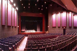 به منظور استقبال مردم از اکران فیلم های سینمایی