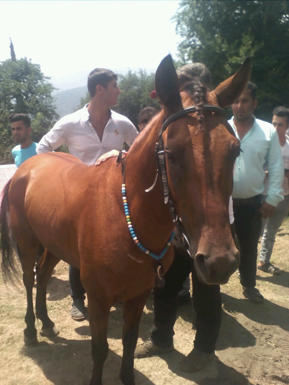 برپایی یک دوره مسابقه اسب سواری در ماسال
