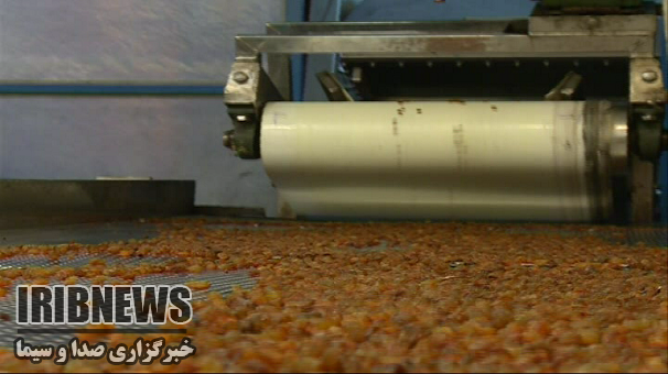 صادرات هزار و 668 تن کشمش از استان زنجان صادرات هزار و 668 تن کشمش از استان زنجان