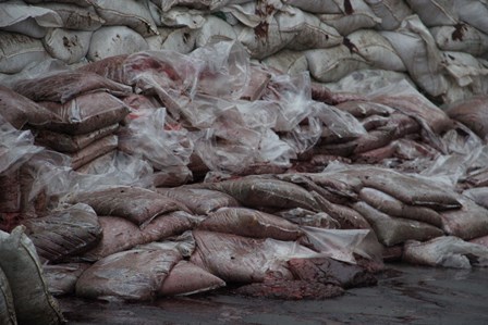 16 تن ضايعات غیربهداشتی مرغ