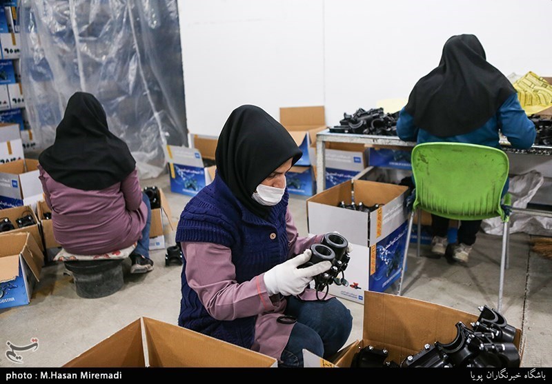 ایجاد ۵۸ طرح اشتغال زایی برای زنان سرپرست خانوار استان ایجاد ۵۸ طرح اشتغال زایی برای زنان سرپرست خانوار استان