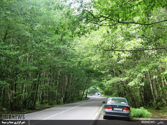 عمرت دراز ، ای با شکوهِ سبز فام ِهیرکان عمرت دراز ، ای با شکوهِ سبز فام ِهیرکان