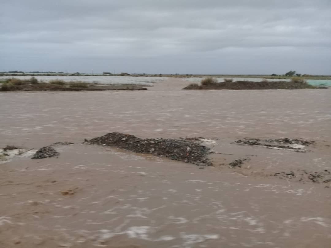 بسته شدن بسته شدن