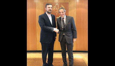 دیدار غریب آبادی با مدیرکل آژانس بین المللی انرژی اتمی