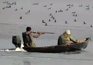 سفر بدون بازگشت پرندگان مهاجر سفر بدون بازگشت پرندگان مهاجر