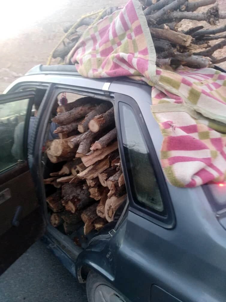 توقیف پنج خودروی حامل هیزم در کهگیلویه وبویراحمد