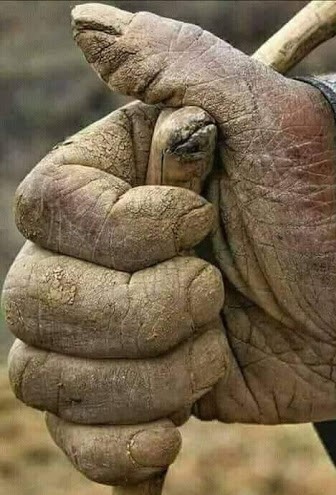 می شود بیتفاوت رد شد و چيزی نديد؟ می شود بیتفاوت رد شد و چيزی نديد؟