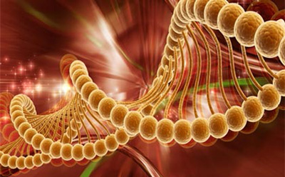 افزایش شمار کاناداییهای مبتلا به سرطان در سال ۲۰۲۰ افزایش شمار کاناداییهای مبتلا به سرطان در سال ۲۰۲۰