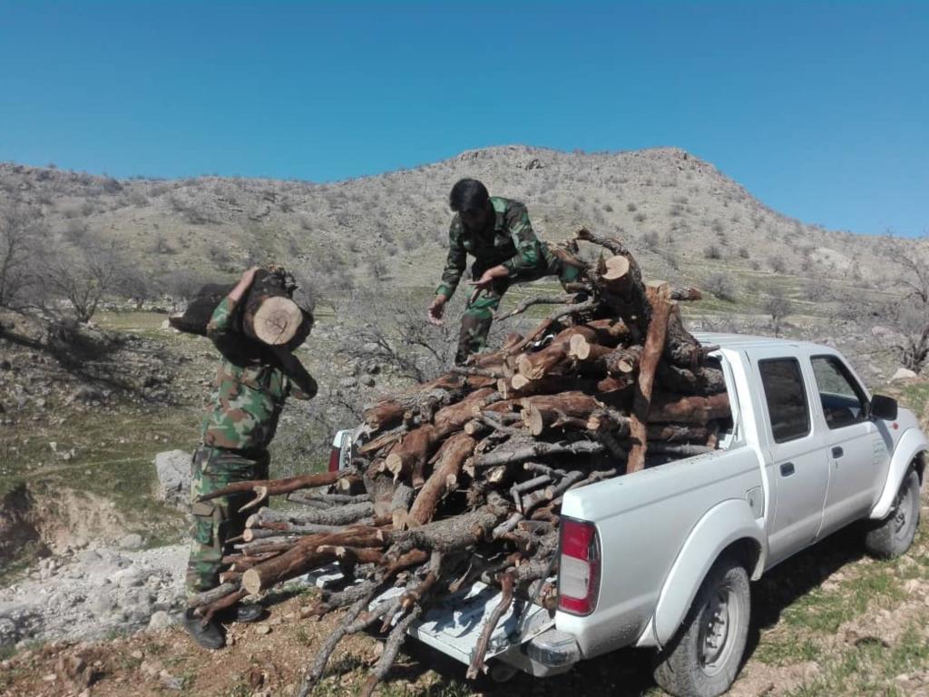 پاکسازی مناطق جنگلی شهرستان رستم از قاچاقچیان فرآورده‌های جنگلی