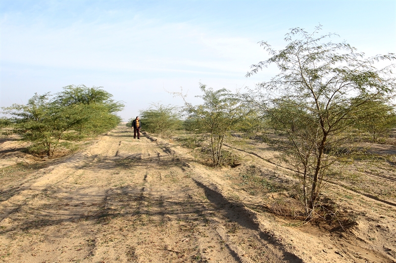 مهاجم بیعار مهاجم بیعار