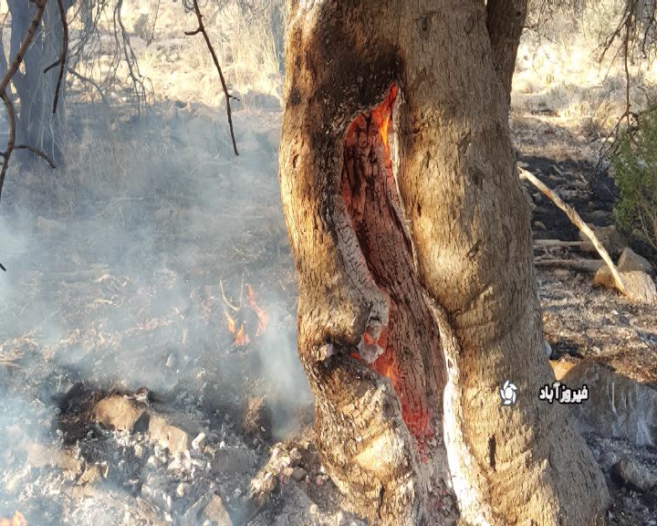 مقابله با آتش سوزی در فیروزاباد