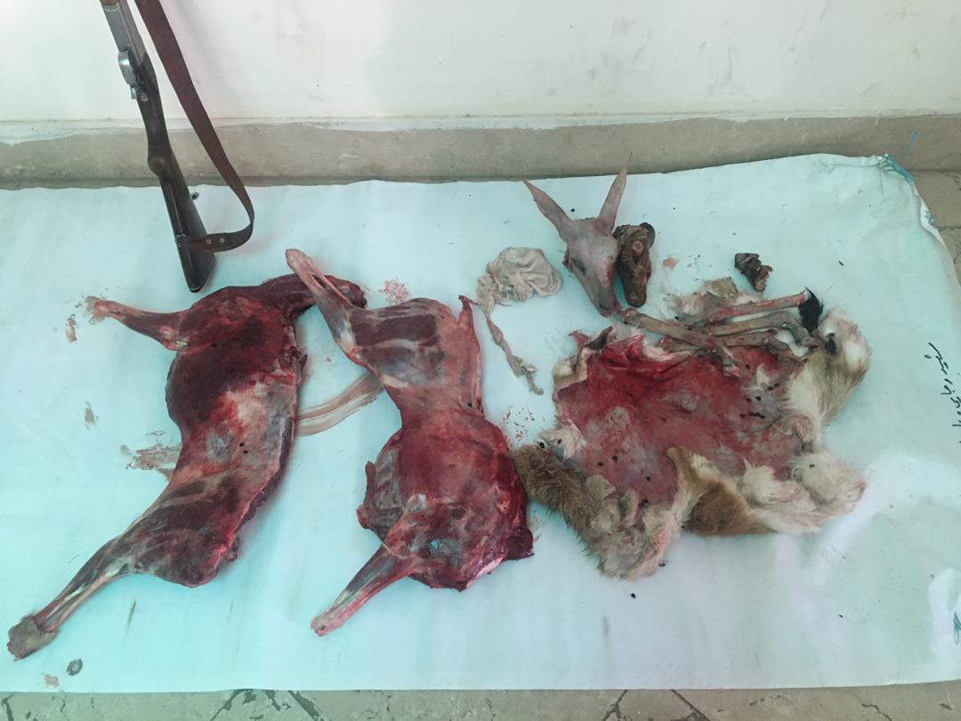 دستگیری دو شکارچی متخلف در سبزوار دستگیری دو شکارچی متخلف در سبزوار