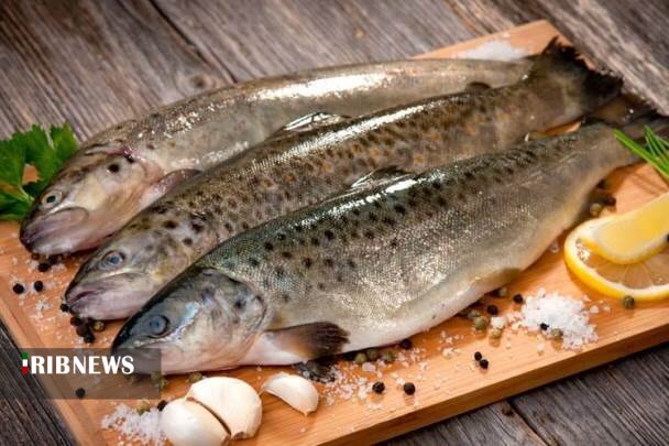 ماهی غذایی سالم و ارزشمند