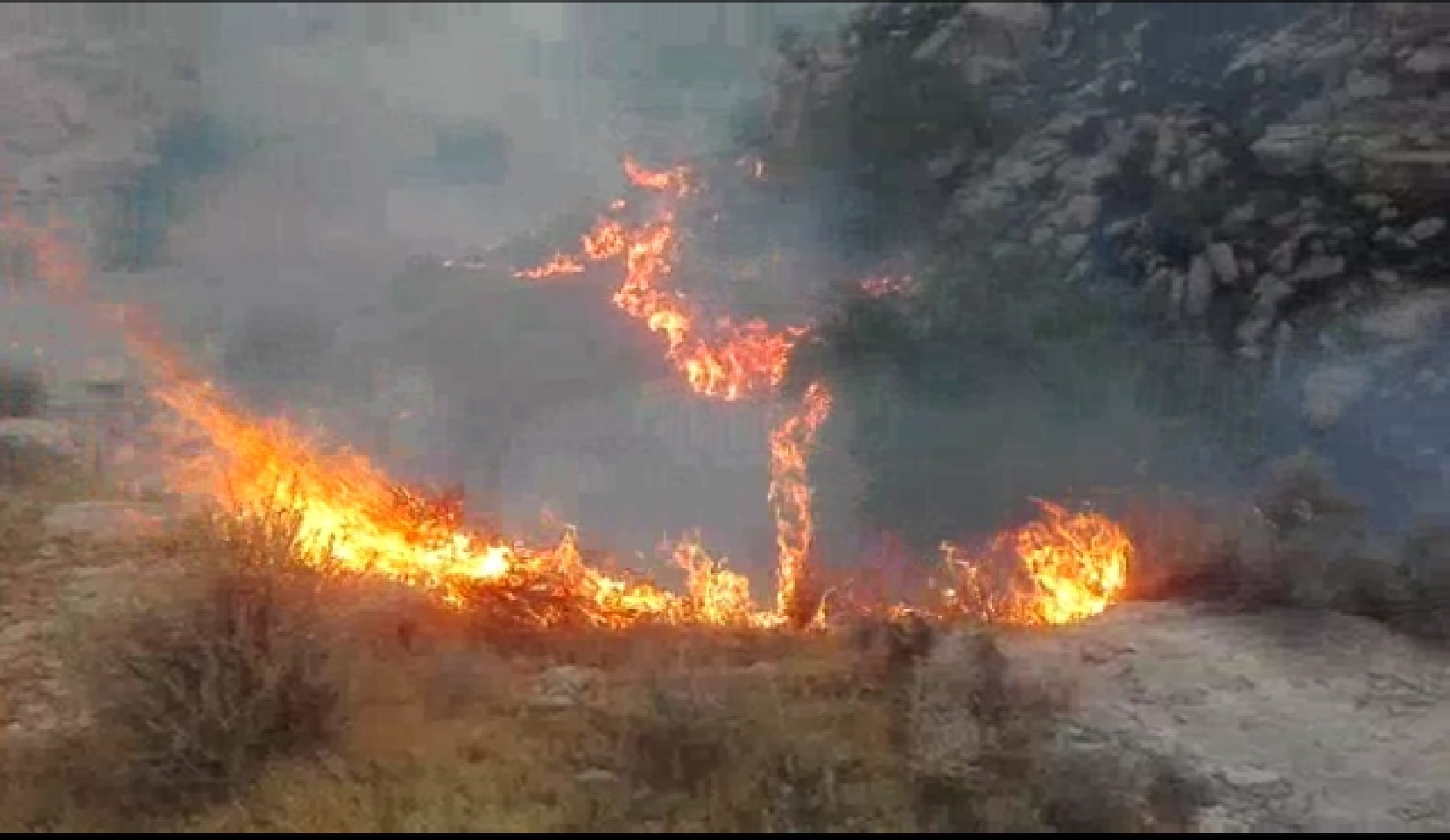 آتش سوزی در گردنه بهمرد دشتستان