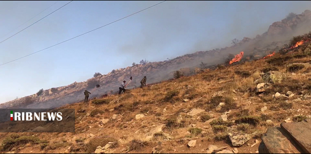 هوا گرمتر می شود وجنگلها نگرانتر هوا گرمتر می شود وجنگلها نگرانتر