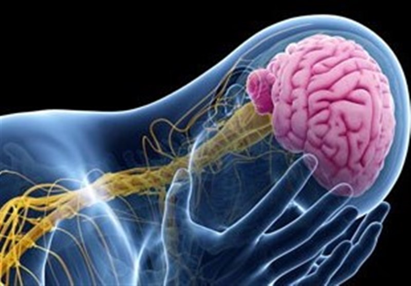 رابطه استرس و بیماری های مغزی