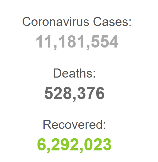 شمار قربانیان کرونا در جهان فراتر از ۵۲۸ هزار نفر