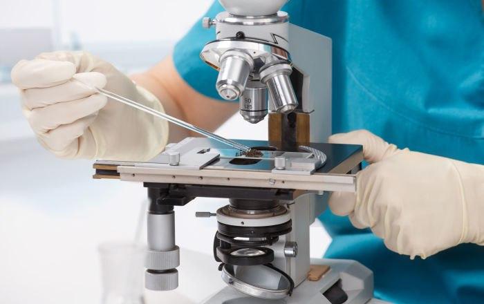 درمان سرطان با زهر عقرب درمان سرطان با زهر عقرب