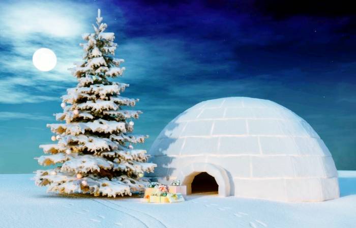 خونه برفی گرم میشه، اما ذوب نمیشه!