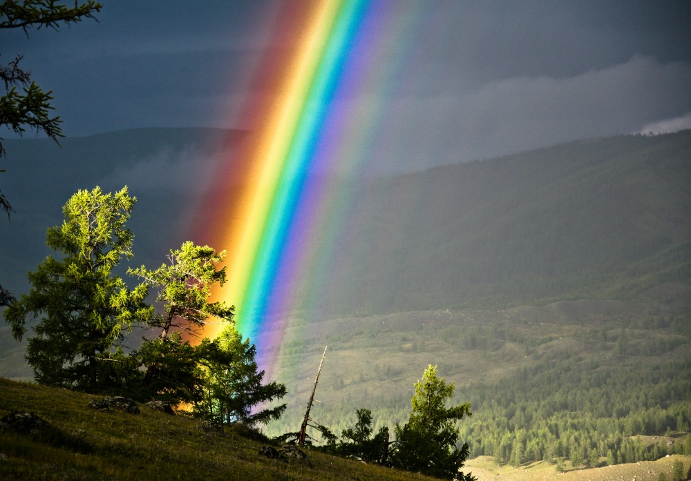 ۱۶ عکس بی‌نظیر از طبیعت