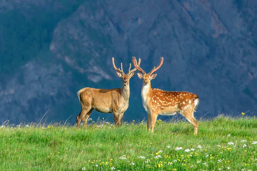 ۱۶ عکس بی‌نظیر از طبیعت