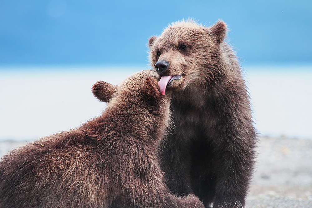 ۱۶ عکس بی‌نظیر از طبیعت