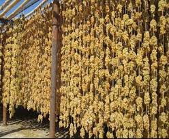 تلاش مجلس برای گنجاندن کشمش در فهرست خرید محصولات تضمینی تلاش مجلس برای گنجاندن کشمش در فهرست خرید محصولات تضمینی