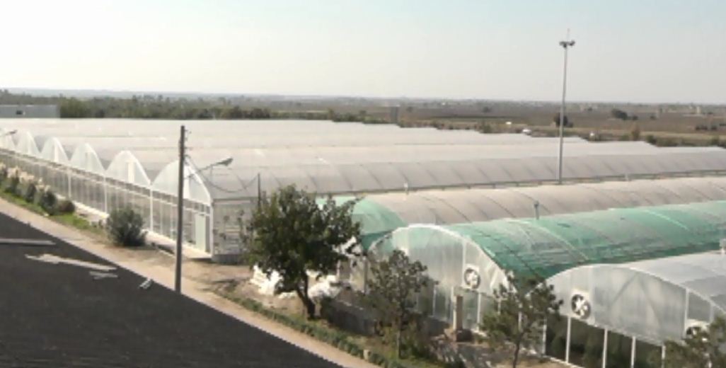 گلخانه زمین گرمایی