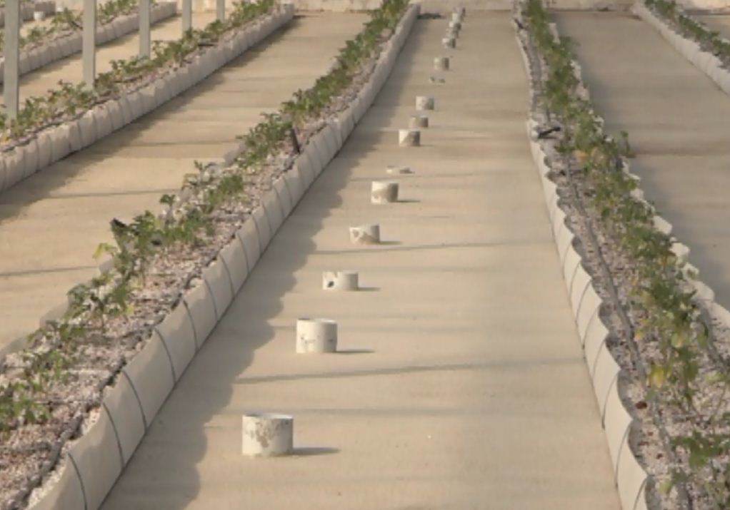 گلخانه زمین گرمایی