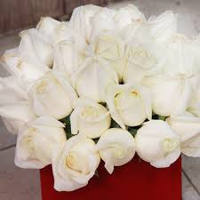 تاثیر رنگها بر زندگی و ذهن انسان