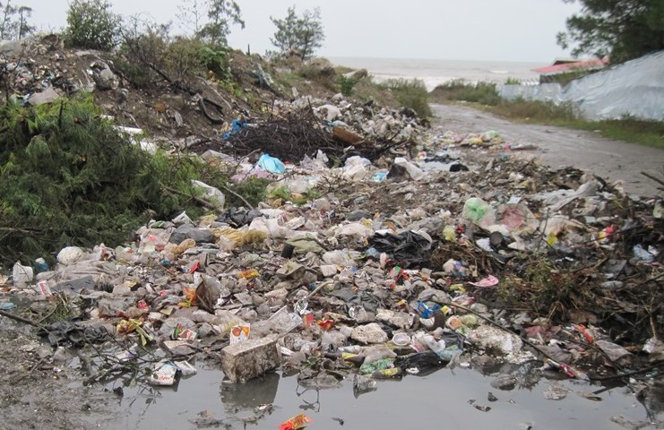 جولان زباله در طبیعت زیبای ماسال به دلیل نبود سطل زباله