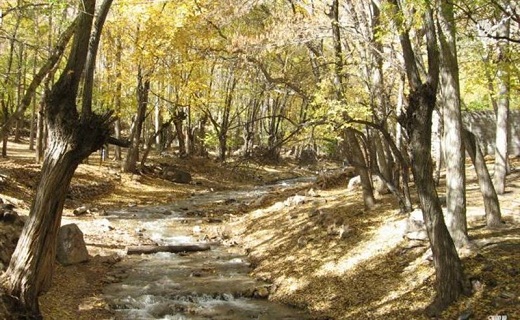 هفت چشمه شهمیرزاد