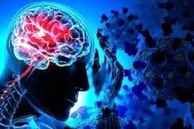 بلوبری، دشمن آلزایمر بلوبری، دشمن آلزایمر