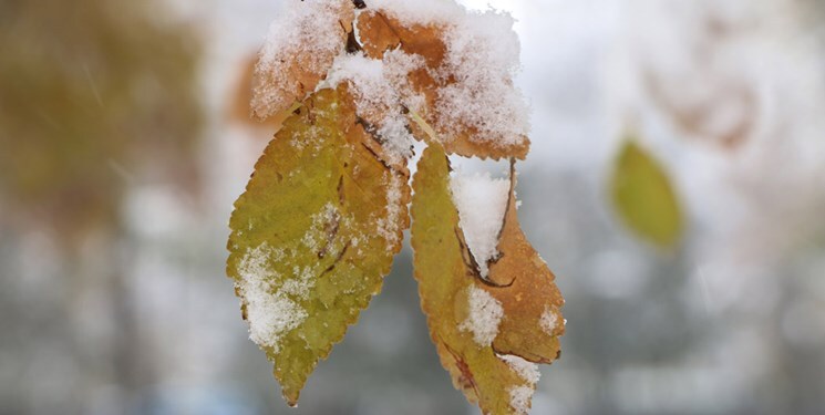 پیش بینی بارشهای پراکنده برف و باران در خوزستان پیش بینی بارشهای پراکنده برف و باران در خوزستان