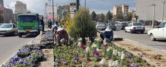 استقبال از بهار با ۶۰۰ هزار بوته گل در میاندوآب