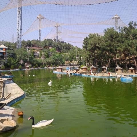 باغی برای پرندگان باغی برای پرندگان