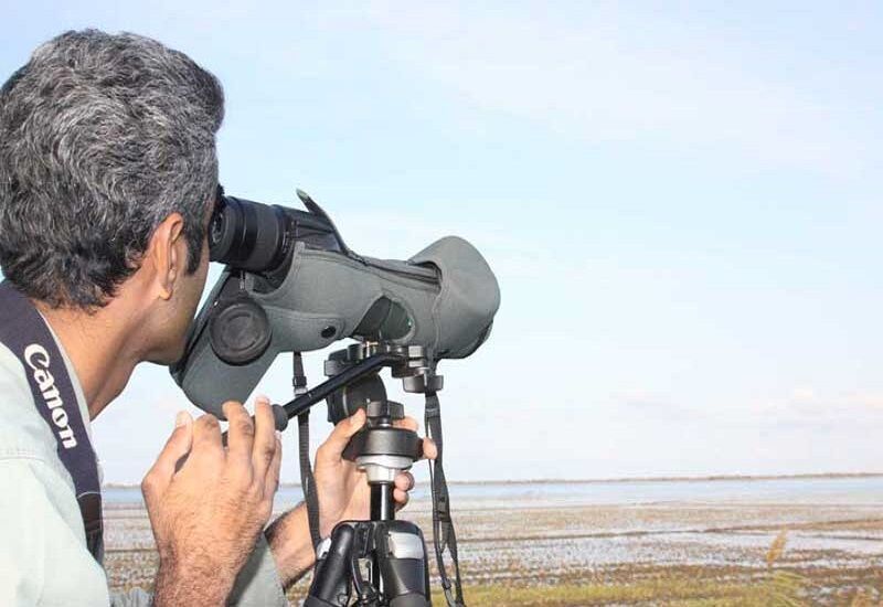 آغاز سرشماری زمستانی پرندگان در منابع آبی مهاباد آغاز سرشماری زمستانی پرندگان در منابع آبی مهاباد