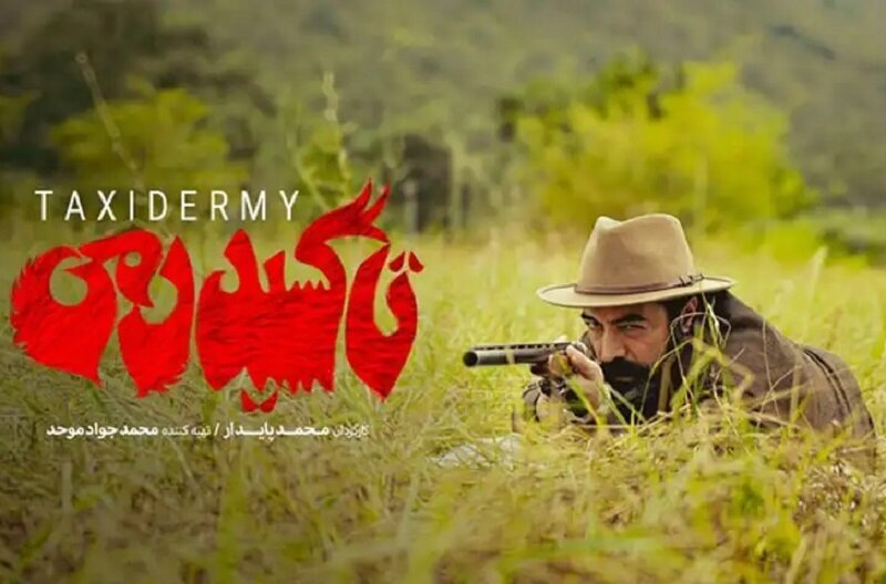 جای پای محیط زیست در فیلم های جشنواره فیلم فجر جای پای محیط زیست در فیلم های جشنواره فیلم فجر