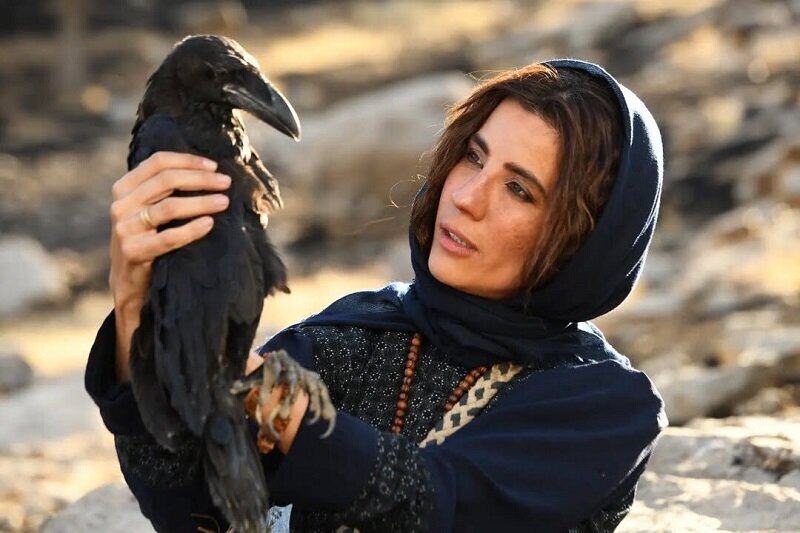 جای پای محیط زیست در فیلم های جشنواره فیلم فجر جای پای محیط زیست در فیلم های جشنواره فیلم فجر