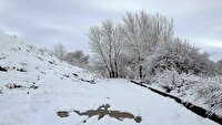 بارش برف و باران در استان زنجان