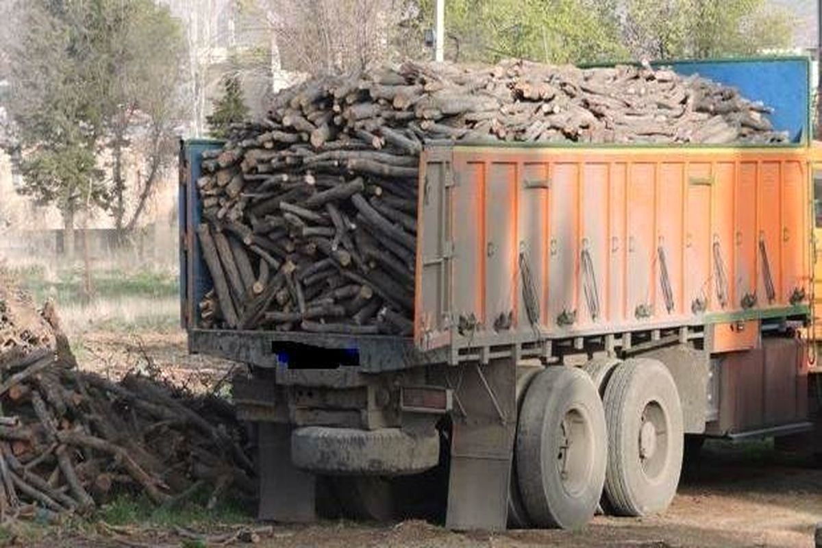 توقیف دو خودرو حامل ۲ تن چوب قاچاق در بام و صفی‌آباد