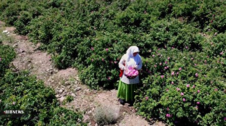 بوی بهشت در اردیبهشت